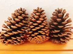 hidamari*様 リクエスト 3点 まとめ商品