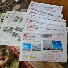 カラーテスト理科 5年生新学社札幌教育出版のサムネイル