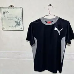 PUMA ネイビー Tシャツ１６０㎝