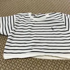 ボーダー クロップドTシャツ 半袖