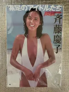新品未開封　斉藤慶子　オマージュブリキ看板　①