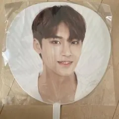 SEVENTEEN ミンギュ うちわ ode to you japan