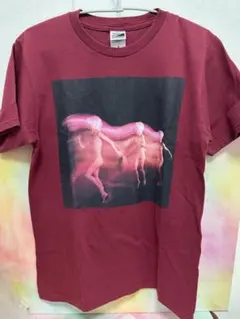 ハチミツ スピッツ 30周年記念Tシャツ ジャケットデザイン 草野