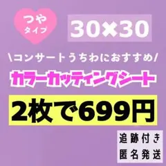 キャンディパープル　艶あり うちわ　規定外 対応サイズ カッティングシート 2枚