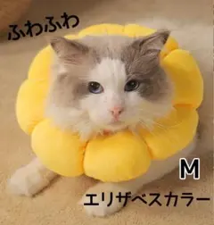 엘리자베스 컬러 M 애완견 고양이 수술 후 관리 상처 핥기 방지 당일배송 플러피