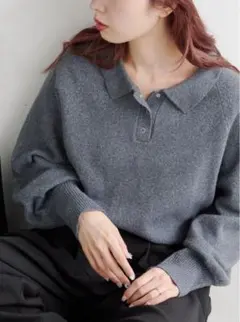 カスタネ　カーブスリーブポロニット