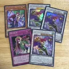 遊戯王 ハーピィ・レディ・SC 香水戦術