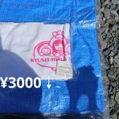 旧姓　広田さくら　タオル　未開封　未使用品