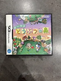 おいでよ どうぶつの森 (Nintendo DS)