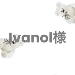 Ivanol様 リクエスト 2点 まとめ商品