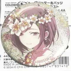 2026年最新】東雲絵名 缶バッジ 14bの人気アイテム - メルカリ