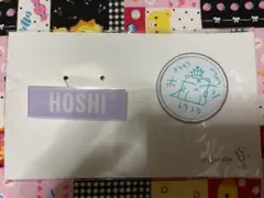 SEVENTEEN ホシ バッジセット