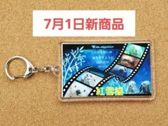 【7月1日】鳥羽水族館 ラッコ メイ キラ 七夕 （2025）キーホルダーのサムネイル