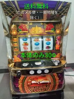 実機 税込 ミズホ S／沖ドキ！GOLD／LS（沖ドキ！ゴールド-30