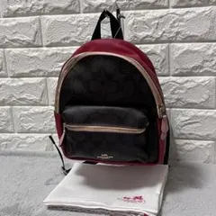 未使用級✨COACH コーチ ミニリュック バックパック シグネチャー PVC