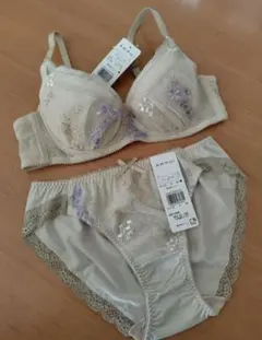 ブラジャーショーツセット c70