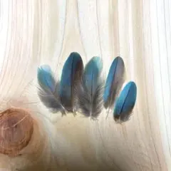 スミ様 リクエスト 2点 まとめ商品