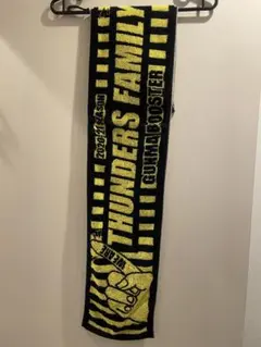 群馬クレインサンダーズ タオルマフラー