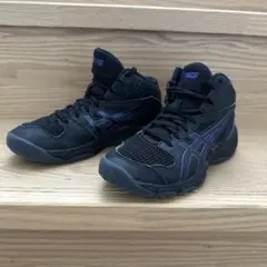 ASICS バスケットボールシューズ ダンクショット 21.5センチ