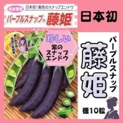 【野菜の種】「藤姫」10粒日本初の紫スナップエンドウ✨レアな紫！サヤごと食べれるのサムネイル