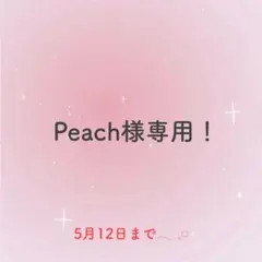 Peach様 リクエスト 3点 まとめ商品