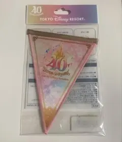 TDR40周年「ショーケース・オブ・ドリームス」ドリームガーランド(非売品)