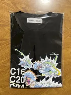 Item thumbnail for item 1f893294-5409-4028-a688-90a0b0aea128