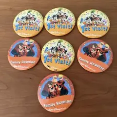 フロリダディズニーワールド 缶バッジセット 7個