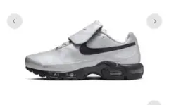 ギャングスキニー様専用Nike Air Max Plus Tiempo Grey - メルカリ