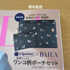 バイラ4月号　レスポートサック　付録