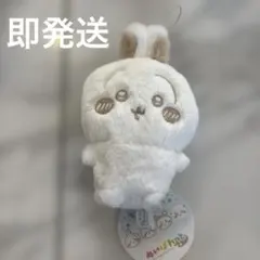 Item thumbnail for item 56b9db63-57c4-4be1-b5f2-bd9c3037fc91