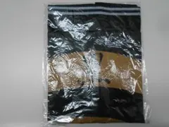 Item thumbnail for item 8b2e7d35-e74f-408e-a9ba-d006bbfc1b2f