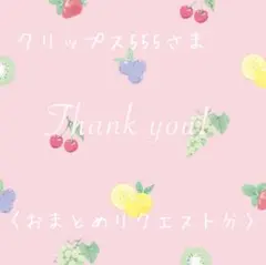 クリップス555.プロフも見てね様 リクエスト 2点 まとめ商品