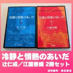 ⭐やや傷あり⭐ 冷静と情熱のあいだ Blu　Rosso 文庫 ２冊セット 初版
