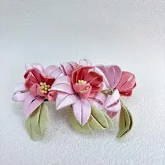 Item thumbnail for item 00532597-cd75-4d8a-a843-e37cd5ea3613