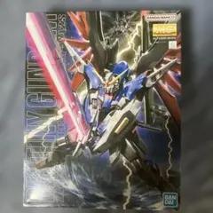 MG デスティニーガンダム30周年記念限定版 スペシャルクリア外装パーツ