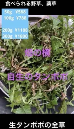 Item thumbnail for item b7b849ef-b7bb-41cf-87c7-e104eb3dc8fb