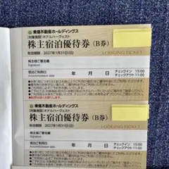 東急不動産 株主優待 宿泊優待券（B券）2枚セット ホテルハーヴェスト