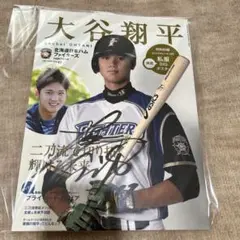大谷翔平直筆サイン色紙【ケース付】、ポストカード 2025年最新】大谷翔平直筆サインの人気アイテム - メルカリ