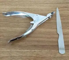 Item thumbnail for item ff89666b-eed2-4e26-bb77-2a97390aad5c