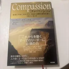 Compassion 状況にのみこまれずに、本当に必要な変容を導く、「共にいる…