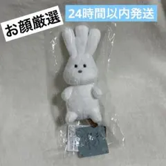 2026年最新】バムとケロ ぬいぐるみ おじぎちゃんの人気アイテム