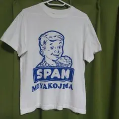 UnitedAthle SPAM 宮古島 Tシャツ Sサイズ