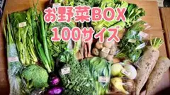お野菜BOX 100サイズのサムネイル