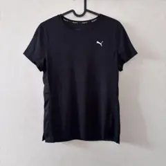 Item thumbnail for item 89a5a6cf-dfa9-4523-8a6b-595704650d30