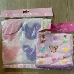 ディズニーリゾート　タオル２枚セット