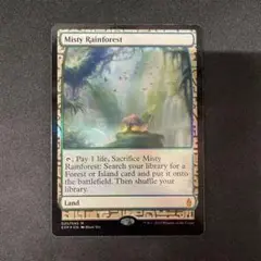 mtg 霧深い雨林　英語　旧枠　４枚 霧深い雨林 英語 英)霧深い雨林 / Misty Rainforest【ZNE】 No