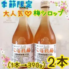 2025年最新】こぼれ梅シロップの人気アイテム - メルカリ