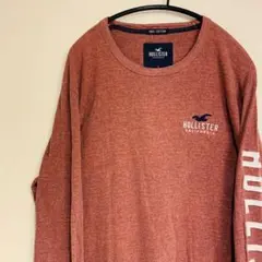 【刺繍ロゴ】ホリスター　長袖Tシャツ　ロンT ビックロゴ　大きめなLサイズ