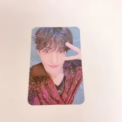 SEVENTEEN セブチ sector17 中国 ドギョム トレカ